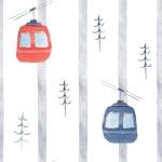 Cable cars