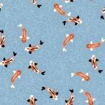 Japanese Koi Carp