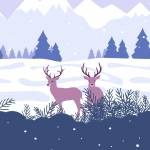 Cerfs sous la neige