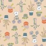 PLANTES GRASSES
