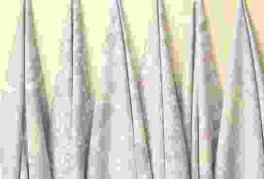 motifs couleur pantone 2026 french design